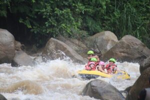 Ethical Elephant Visit and White Water Rafting in Chiang Mai - E-co Adventure Camp: Ethical Elephant Care in Practice