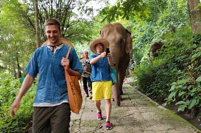 Ethical Elephant Visit and White Water Rafting in Chiang Mai - The Lunch Stop: Local Thai Food You Can Feel Good About