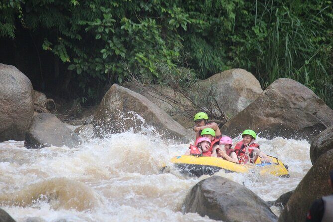Ethical Elephant Visit and White Water Rafting in Chiang Mai - E-co Adventure Camp: Ethical Elephant Care in Practice