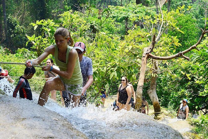 Experience Elephant Sanctuary + Sticky Waterfall - Guides, pacing, and why a private day feels better