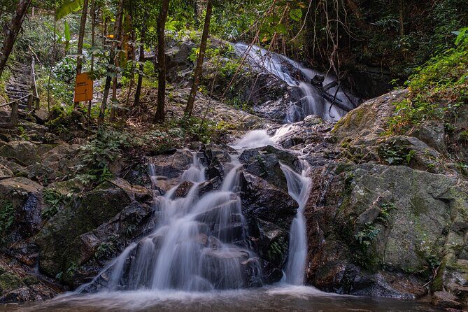 Explore Mae Kampong Village from Chiang Mai City - A calm, scenic day trip from Chiang Mai—without the scramble