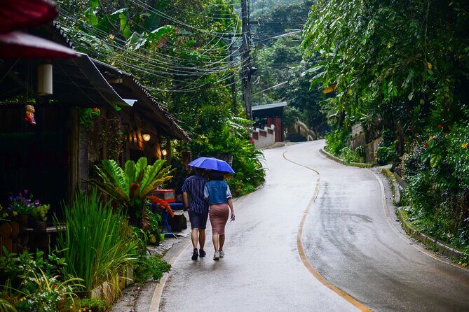 Explore Mae Kampong Village from Chiang Mai City - The value question: is $81.06 a fair deal?