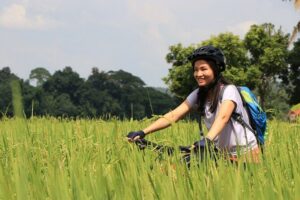 FIELDS OF GOLD Mountain Biking Tour Chiang Mai - The Ride Length: What 40–57 Miles Means In Real Terms