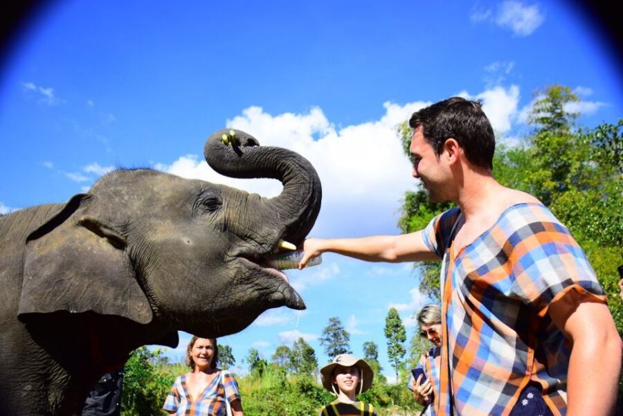 From Chiang Mai: Elephant Care Program and Nursery Tour - Getting There From Chiang Mai: Pickup, Ride Time, and First Impressions