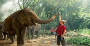 From Chiang Mai: Kerchor Eco Elephant Park Tour - The Kerchor welcome: eco protection and elephant-safety talk