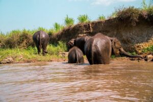 Full Day Chauffeur Driven Tuk Tuk Adventure in Chiang Mai including rafting - Stop 1 in Mae Wang: temples, farming communities, and a waterfall hike