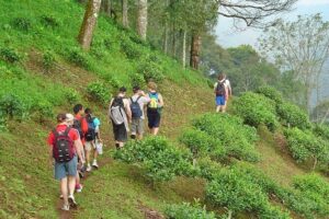 Full-Day Hike and Bike Tour from Chiang Mai - The Morning Hike: Rice Paddies, Hill Tribe Villages, and Waterfall Views