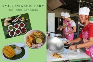 Full Day Thai Cooking at Farm (Chiang Mai) - Morning pickup and the market stop that sets you up