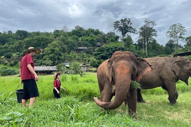 Half-Day Elephant Experience at Rantong - Arriving at the Centre: Changing Into Mahout-Style Karen Clothes