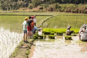 Half-Day Lanna Countryside Cycling Tour in Chiang Mai - Grand Canyon Chiang Mai Viewpoint: Plan for the Ticket
