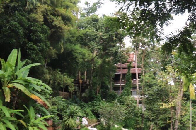 Half Day Morning Wat Pha Lat & Wat Phra That Doi Suthep Tour - Route and Timing: What the 270 Minutes Feels Like