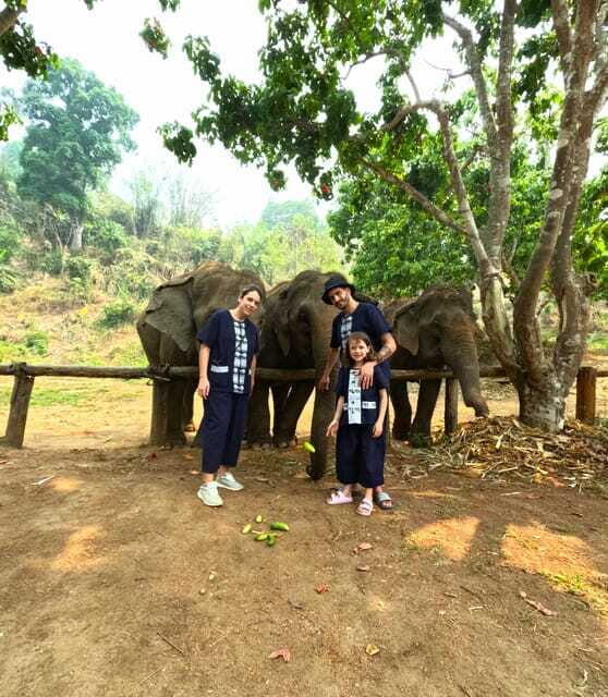 Half-day with CHIANGMAI ELEPHANT CARE program (12pm-6pm.) - Making herbal medicine balls: a hands-on care task, not a gimmick