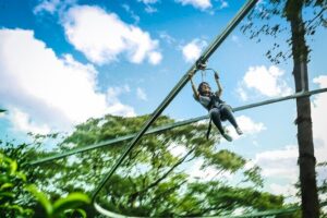 Jungle Flight Zipline Roller Coaster - The Zipline Circuit: about 15 rides, platforms, and the big 800m run