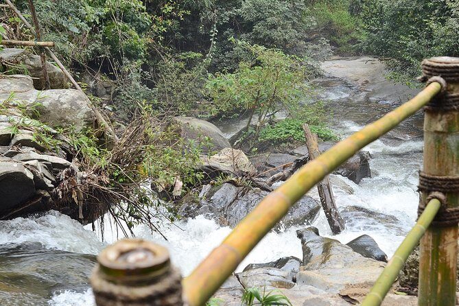 Mount Doi Inthanon Hiking & Bird Watching - Logistics That Matter: Pickup, Timing, and Private Group Comfort