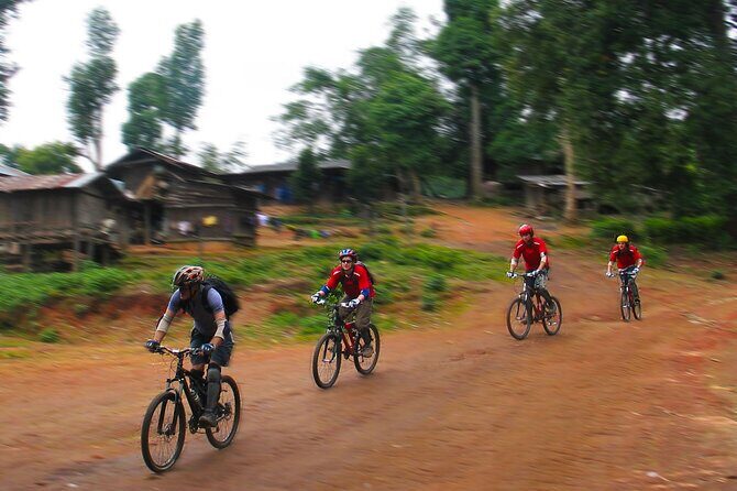 No.1 Chiang Mai: Epic Doi Suthep Downhill MTB Adventure - Price and what you actually get for $74.97