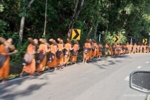 "No.1 Chiang Mai: Suthep N. Park Leisure walks & Mountain Biking" - Starting the Day at 9:30: Gear, Orientation, Then Off Up