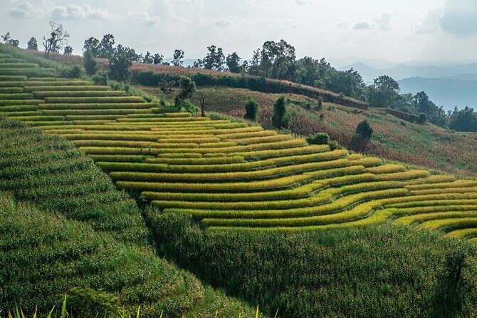 One day Doi Inthanon & Trekking at Pha Dok Siew - Starting at 7:00 am: getting to Doi Inthanon without stress