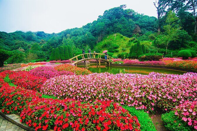 One day Doi Inthanon & Trekking at Pha Dok Siew - Karen village at Ban Mae Klang Luang: rice farming and coffee you can taste