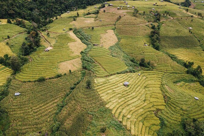 One day Doi Inthanon & Trekking at Pha Dok Siew - King & Queen Stupa: flower gardens plus actual wide-open views