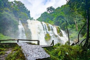 Pha Dok Siew Nature Trail & Doi Inthanon National Park From Chiang Mai - Pickup and Timing: Your 7:00 AM Start Gets You More Mountain Time