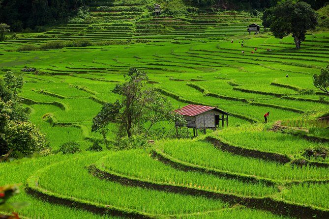 Private: 3 days 2 night trip: ChaingMai-Chaingrai- The Golden Triangle trip - Entering Northern Thailand: a 3-country route from Chiang Mai to Laos