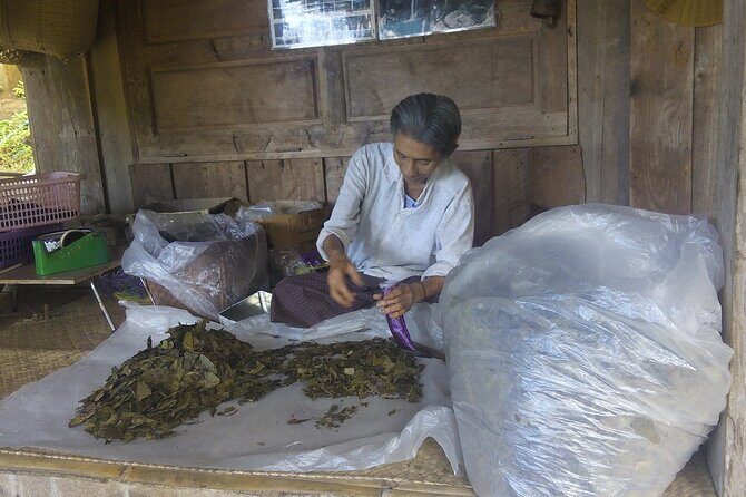 Private Tour in Chiang Mai Village Experience Nature - Optional Thai herbal stream and tree-house coffee costs