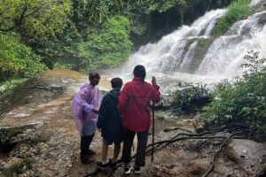 Private Tour to Doi Inthanon including Twins Pagodas and Hiking - Stop 1: Doi Inthanon National Park and the changing forest