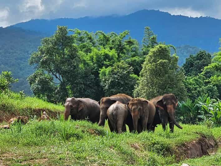 Rantong elephant sanctuary Chiangmai - Getting picked up from Chiang Mai Old City (and why it’s useful)