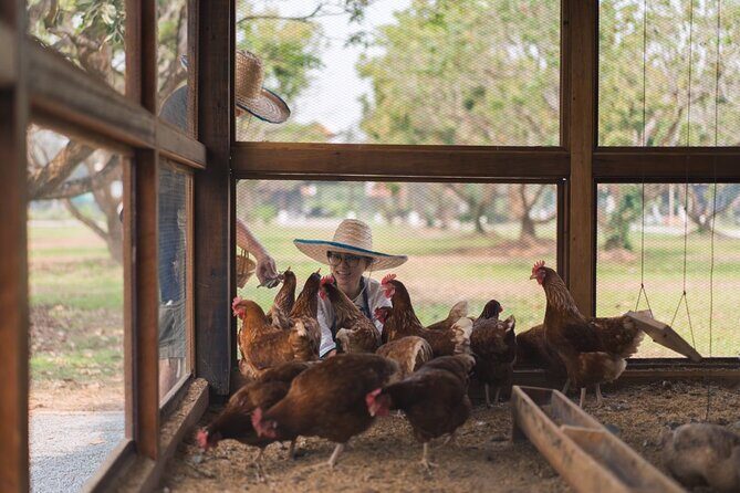 Sunset Thai Cooking with Grandma - Farm & Evening Feast - Who this class is perfect for (and who it might not be)
