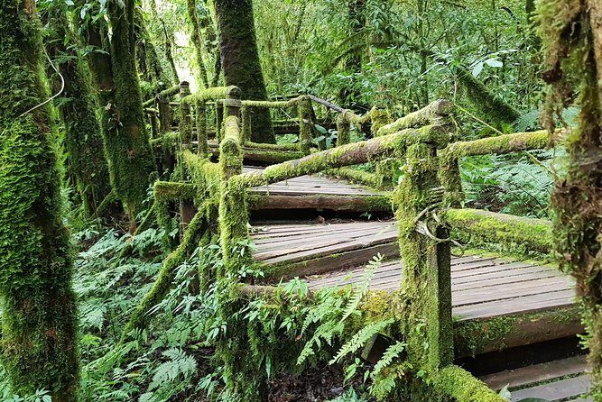 Wow! Doi Inthanon National Park Adventure, Lunch & Entry Included - Waterfalls First: Wachirathan and Sirithan in the Same Day